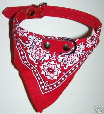 Bandana Dog Collar Red, Small Neck Size 10