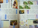 The King of Fighters '99 Perfect Manual (Japanese Import)