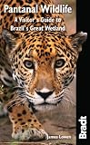 Pantanal Wildlife: A Visitor's Guide to Brazil's Great Wetland (Bradt Wildlife Explorer)
