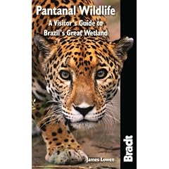 Pantanal Wildlife: A Visitor's Guide to Brazil's Great Wetland (Bradt Travel Guides (Wildlife Guides))