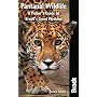 Pantanal Wildlife: A Visitor's Guide to Brazil's Great Wetland (Bradt Travel Guide)