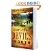 Out of the Devil's Mouth (Henry Wolfe Adventure Series #2)