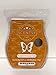 Pumpkin Cinnamon Swirl Scentsy Bar Wax Tart 3.2 fl oz 8 Squares â€¦
