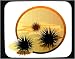 Mouse Pad with animals, sea, urchins, ocean