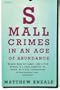 Small Crimes in An Age of Abundance