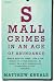 Small Crimes in an Age of Abundance