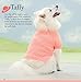 Seamless Knits for Posh Pups