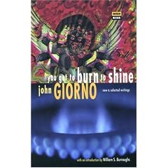 You Got to Burn to Shine: New and Selected Writings (High Risk Books)