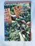 Oriental Herbs and Vegetables (Plants and Gardens, Vol 39, No. 2)