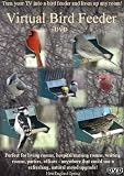 Virtual Bird Feeder