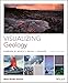 Visualizing Geology (Visualizing Series)
