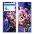 Sorrow Design Protective Skin Decal Sticker for Apple iPod nano 2G (2nd Generation) 2GB/ 4GB/ 8GB Player