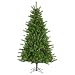 7' Pre-Lit Colorado Pine Christmas Tree - Multicolor Lights