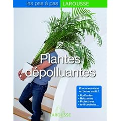 Plantes d�polluantes