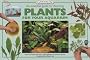 An Essential Guide to Choosing Plants for Your Aquarium (Tankmaster)
