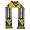 West Virginia Mountaineers