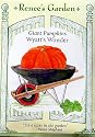Giant Pumpkins Wyatt's Wonder Seeds 13 Seeds