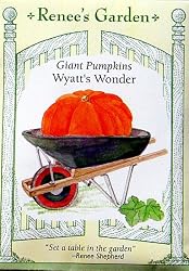 Giant Pumpkins Wyatt's Wonder Seeds 13 Seeds