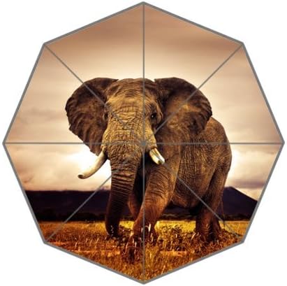 African Elephant Stylish Unique Personalized Custom Foldable Umbrella