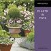Book Plants in Pots (Simply Gardening)