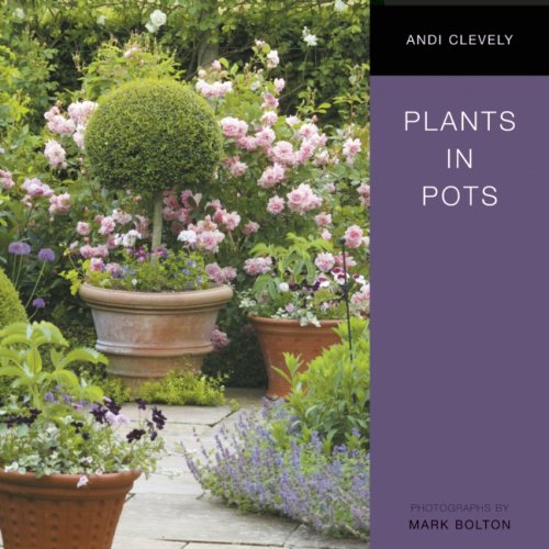 Cover image : Plants in Pots (Simply Gardening)