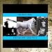 Pale Horse Rider: Paul Tait 1998-2002. Volume II [CD on Demand]