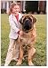 Kitchen & Housewares : PetSafe Big Dog Bark Collar