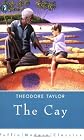Cay (Puffin Modern Classics)