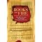 Burning Books and Libraries throughout History