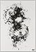 the GazettE, Repeated Countless Error [DVD], 発売中