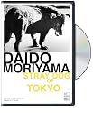 Daido Moriyama: Stray Dog of Tokyo