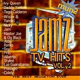 UPC 880957014424 product image for Jamz TV Hits 2 | upcitemdb.com