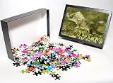 Photo Jigsaw Puzzle of MAR-304 Casque-headed Basilisk - Old Man Lizard - Helmeted Iguana from Ardea Wildlife Pets