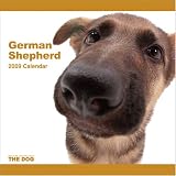 German Shepherd 2009 Wall 12''x12'' Calendar by THE DOG Artlist Collection