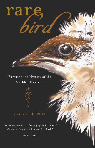 Rare Bird - ebook/epub: Pursuing the Mystery of the Marbled Murrelet
