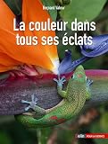 La couleur dans tous ses éclats
