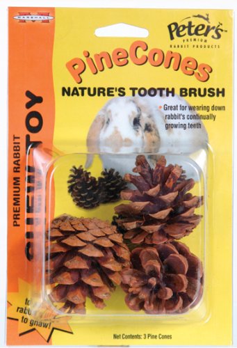 Peter's Peter's Pine Cones