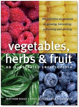 Fruits And Vegetables
