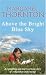 Above the Bright Blue Sky