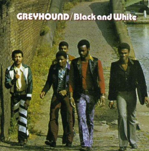 Greyhound - Black And White - Zortam Music
