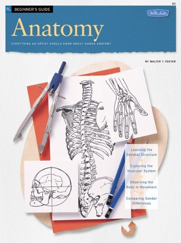 Anatomy