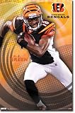 Cincinnati Bengals AJ Green Poster 2022