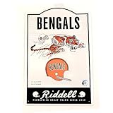 Cincinnati Bengals Collectible 12