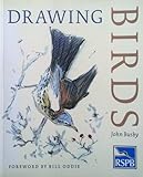Drawing birds