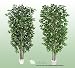TWO 7' Artificial Trees - Very Full Ficus + Silver Birch with Real Wood Trunks