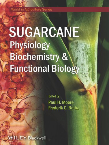 Sugarcane: Physiology, Biochemistry and Functional Biology (World Agriculture Series)
