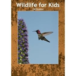 Wildlife for Kids