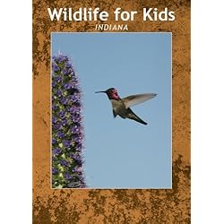 Wildlife for Kids