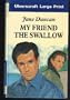 My Friend the Swallow