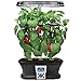 Miracle-GRO AeroGarden Sweet Bell Peppers Seed Pod Kit (7-Pods)
